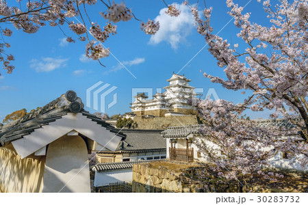 姫路城の春景色 姫路城の春景色 30283732