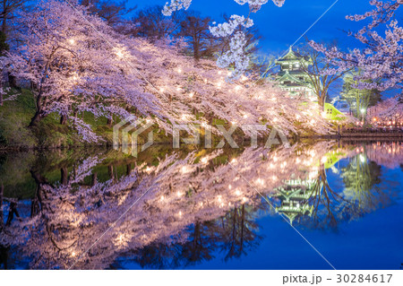 高田公園の桜 高田公園の桜 30284617