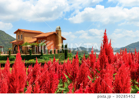 Country house garden  30285452