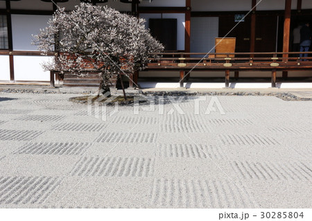 聖護院 聖護院 30285804