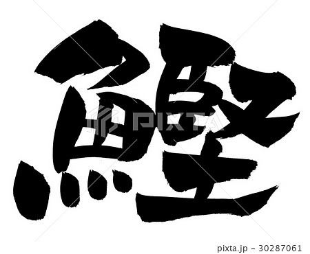 筆文字 鰹 かつおのイラスト素材