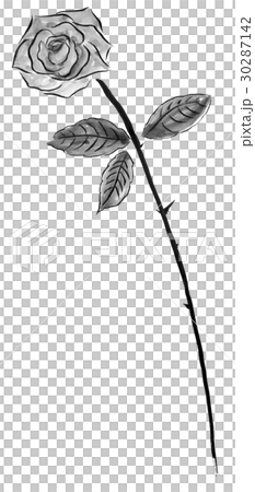 薔薇 花 イラスト 水墨画のイラスト素材