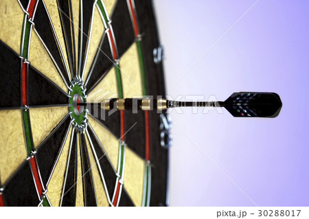 Darboard and business concept Darboard and business concept 30288017