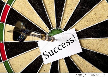 Darboard and business concept Darboard and business concept 30288083