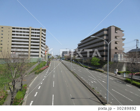 歴博通り(センター北駅付近) 歴博通り(センター北駅付近) 30289892