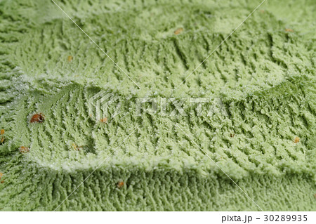 natural pistachio ice cream closeup background 30289935