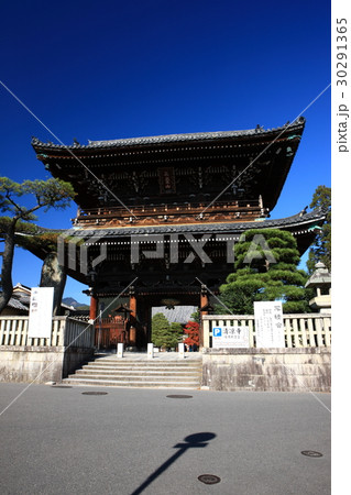 清凉寺の紅葉 30291365