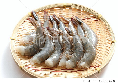 バナメイエビ 30291626