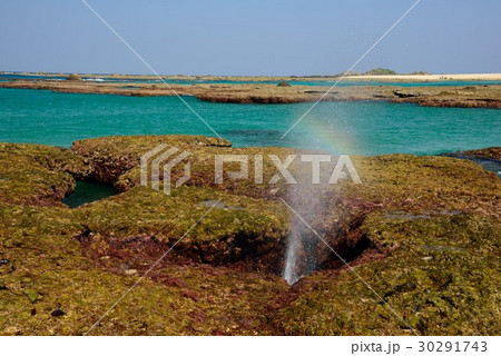 奄美　大潮の海01 30291743