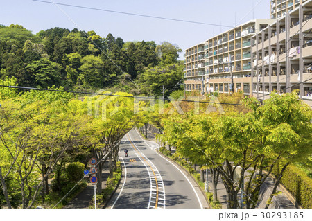 横浜の山の手住宅街 横浜の山の手住宅街 30293185