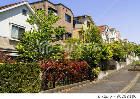 横浜の山の手住宅街 横浜の山の手住宅街 30293186