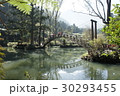 台湾 池溏 林 30293455