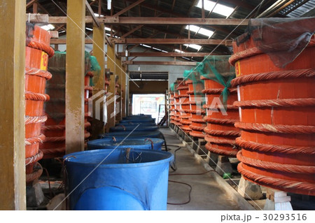 ベトナム・フーコック島 ベトナム・フーコック島 30293516