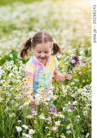 Little girl picking flowers in daisy field 30298141