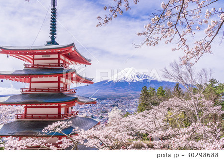 日本の春 新倉山浅間公園から望む世界自然遺産富士山 日本の春 新倉山浅間公園から望む世界自然遺産富士山 30298688