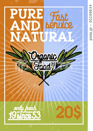 Color vintage organic food banner 30299634