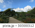 モネの庭 30300312
