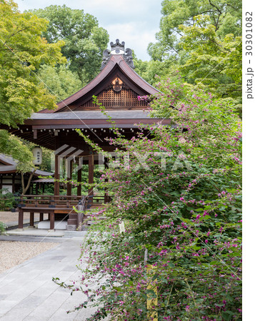萩 - 梨木神社 30301082