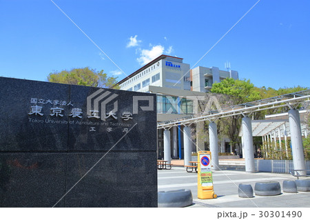 東京農工大学  小金井キャンパス 30301490