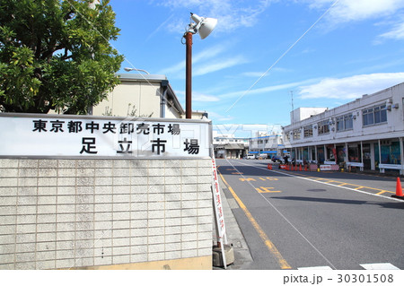 中央卸売市場足立市場 30301508