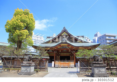 湯島天神　文京区 30301512