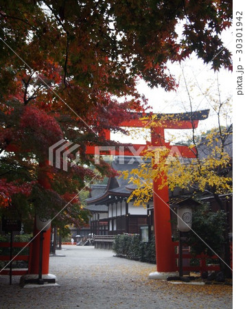 下鴨神社_西参道 下鴨神社_西参道 30301942
