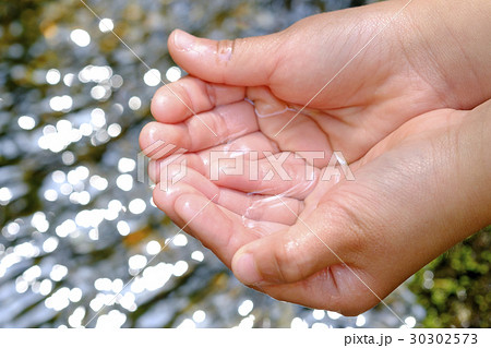 水を掬う子供の手 の写真素材