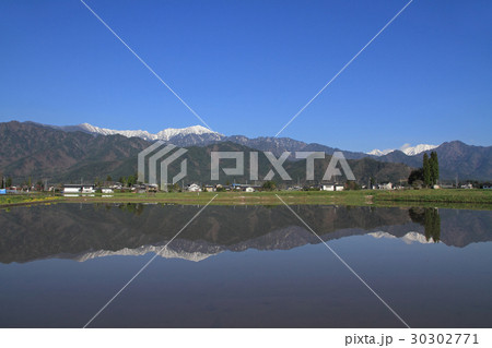 安曇野の春 田植時 安曇野の春 田植時 30302771