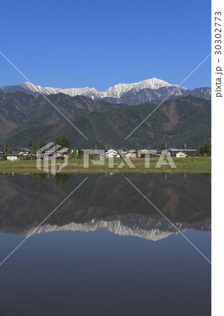 安曇野の春 田植時 安曇野の春 田植時 30302773