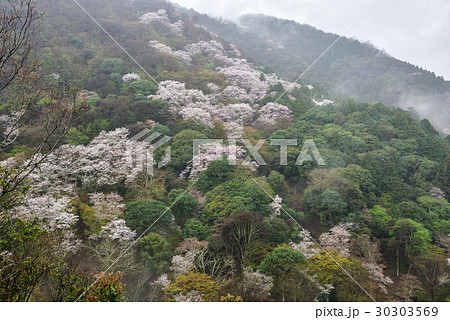 嵐山　保津峡谷 30303569