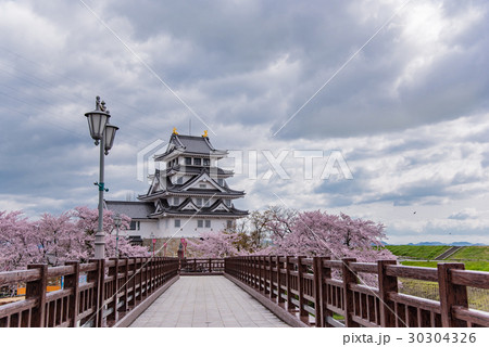 墨俣一夜城　犀川堤の満開の桜　太閤出世橋 30304326