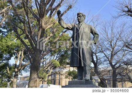 野口英世像 野口英世像 30304600