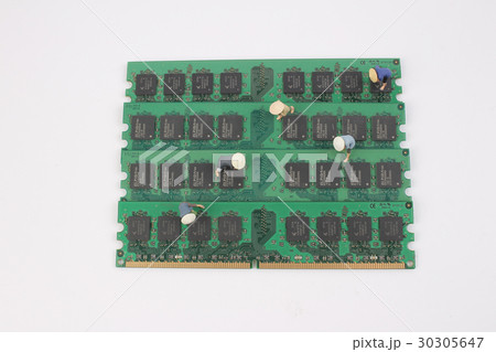 Closeup of farmers with ram Closeup of farmers with ram 30305647