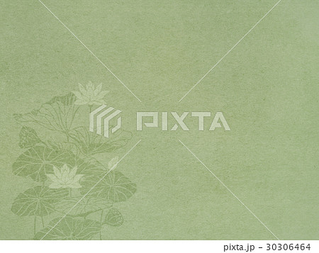 和紙の風合いを感じるイラスト　蓮 30306464