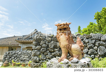 シーサー1の写真素材 [30306603] - PIXTA