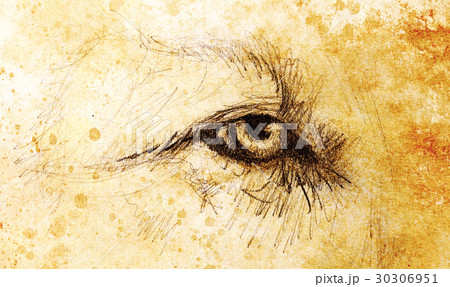 lion eye. animal drawing on vintage paper. Color 30306951