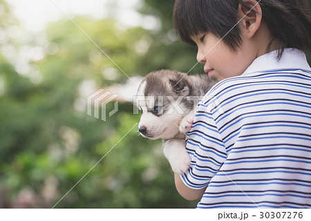 Cute asiaan child holding siberian husky 30307276