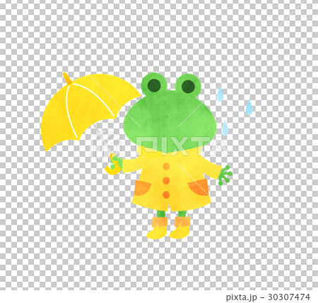 A frog popping on an umbrella 30307474