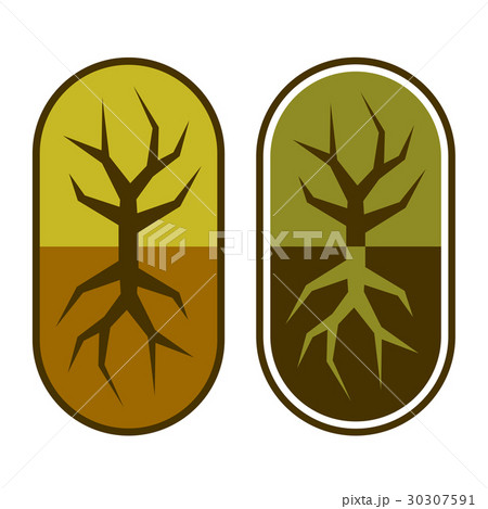 abstract capsule with tree symbol abstract capsule with tree symbol 30307591