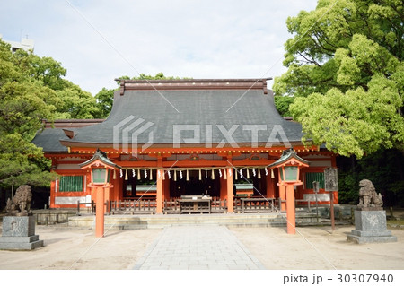 住吉神社本殿・国指定重要文化財(福岡市) 住吉神社本殿・国指定重要文化財(福岡市) 30307940