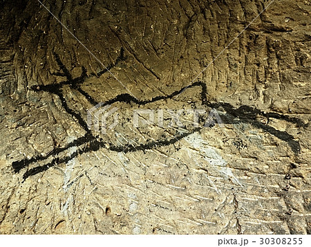 Caveman symbols on wall. Paint of human hunt Caveman symbols on wall. Paint of human hunt 30308255