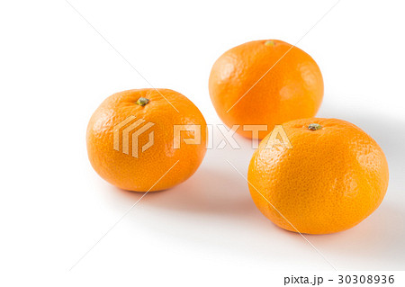 温州みかん 30308936