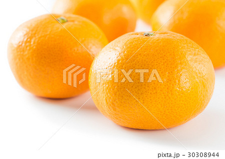 温州みかん 温州みかん 30308944