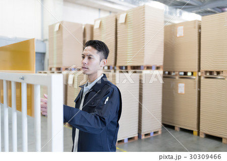 job job 30309466