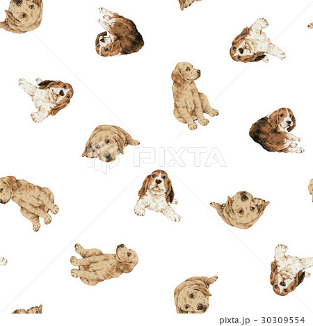 犬の背景 30309554