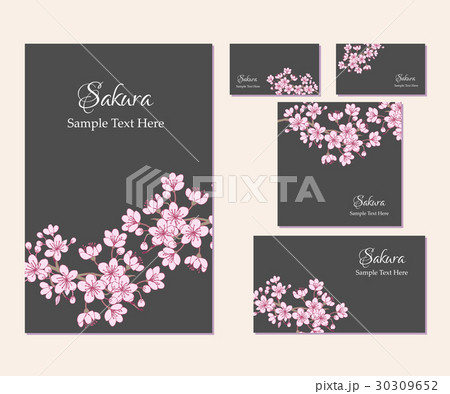 Set of template corporate identity with sakura 30309652
