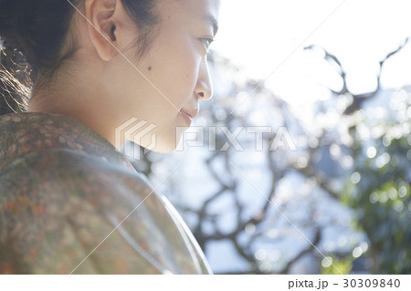 茶道を愉しむ女性 茶道を愉しむ女性 30309840
