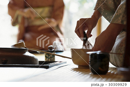 茶道　ポートレート 30309929
