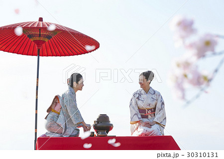 日本のお茶 イメージビジュアル 日本のお茶 イメージビジュアル 30310131