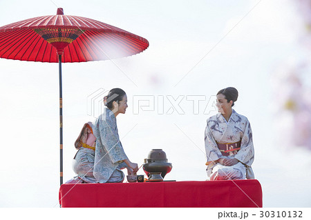 野点を愉しむ日本人女性と外国人女性 30310132